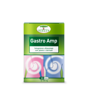 Gastro Amp
