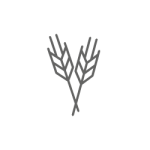 senza_glutine senza_glutine